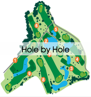 Hole by Hole